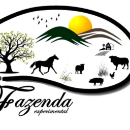 Cria Roraima