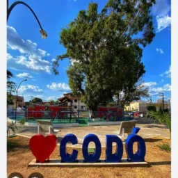 Codo em ação