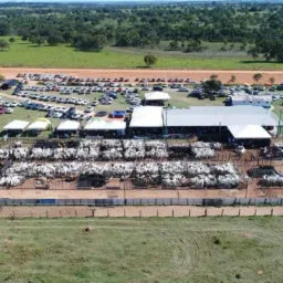 Agronegócios rolo e vendas e geral! Sete Barras