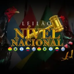 LEILÃO NIVEL NACIONAL 🇧🇷🇧🇴🇦🇷