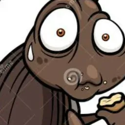 Baratinha