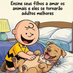 Doação e adoção de pets SP