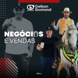 Notícias - Leilões - GD ASSESSORIA