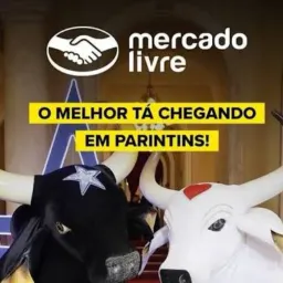 Mercado Livre Parintins oficial