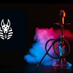 Anubis narguilé