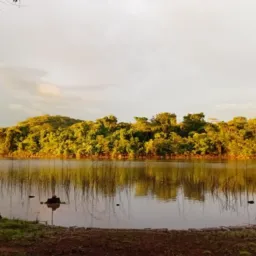 Fazenda  rio verdao montividiu