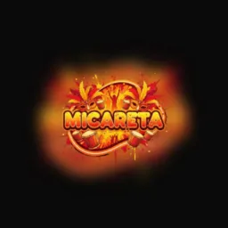 MICARETA 2026