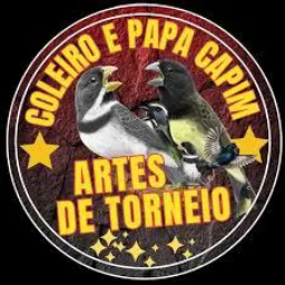🦅só os tops de AlAgoas 🐣🐦‍⬛🐥