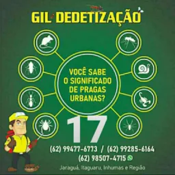 Olx Jaraguá 17