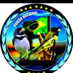 🦅AMOR PELOS PÁSSAROS🦅 CAMPOS
