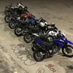 😎 Cachorros loucos de Sampa 🏍️ 🇧🇷 🏁