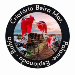 Criatório Beira Mar