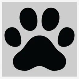ONG/compromisso✅🐶