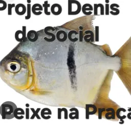 Projeto Denis do Social Peixe na praça