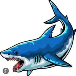 TUBARÃO AZUL 🌎🦈