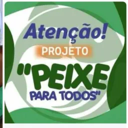 Peixe pra todos Casinhas