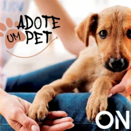 Adoção de Animais Dourados