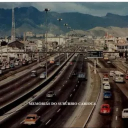 AVENIDA BRASIL ROLO DE AVES