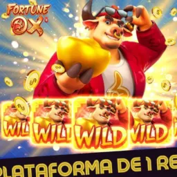 Links de plataformas pagante no momento