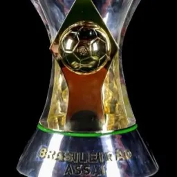Brasileirão da torcida 🇪🇪🇭🇺🇳🇬🇾🇪💢...