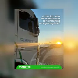PIANETTO TRANSPORTES MONTIVIDIU GO