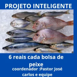 Jardim Alzira projeto inteligente de peixes