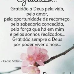 Emoçoes sem fim