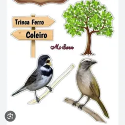 Galera do brik KM37 pescaria brava laguna e região 🐦⬛🪺