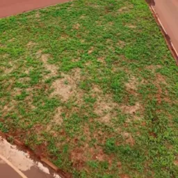 Parauapebas & Região 💪💪💪