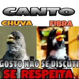 Cria E preserva.só passaros ..DDD 24
