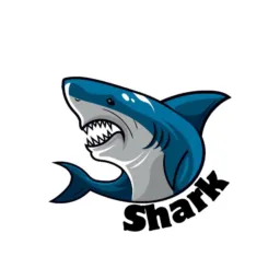 💙 | ≈ XTREINO SHARK ≈