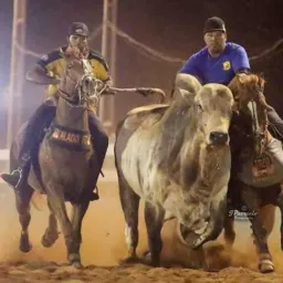 🅿️EGADA DE VAQUEIRO 🇧🇷🐂🏇FJ