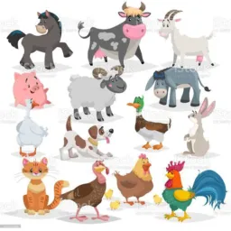 Venda animais Goianésia