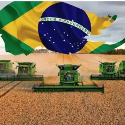 AGRO BRASIL MT