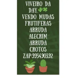 Viveiro  da day.