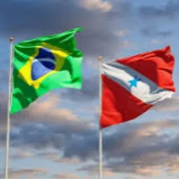 UNIÃO PELO PARÁ