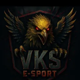 VKS E-SPORT guilda