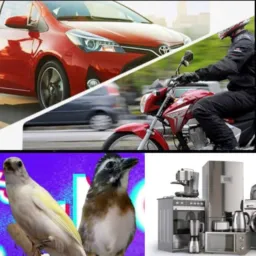 CATIRA DE CARRO, PÁSSAROS, ELETRODOMÉSTICOS, ROUPAS, LOTES, ANIMAIS ETC..