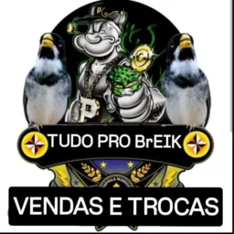 Tudo pro breik CWB 🐦⬛