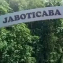 COMPRA E VENDAS JABOTICABA E REGIAO