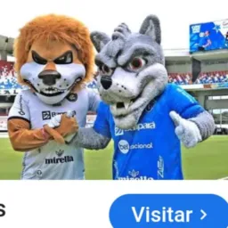 PAYSANDU x REMO AMIZADES GP....top