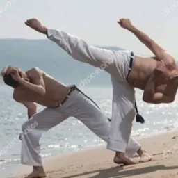 Capoeira Vila Maria