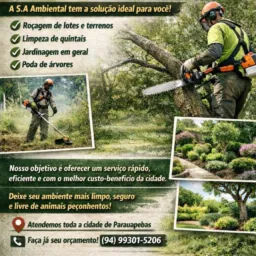 Roçagem de lotes e quintais