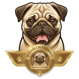 PUG'S Du Goiás & Região...