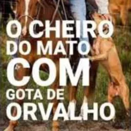 🐄Vida de gado,uma paixão🐂