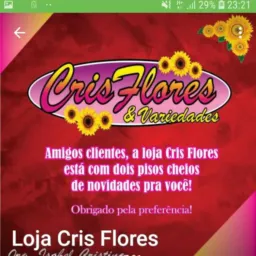 Loja Cris flores e variedades 🌺🌻🌸🌹🦋