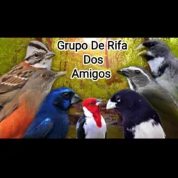 🍀🍀Amigos Rifas e Passaros 🍀🍀