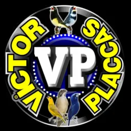 Rifa - VICTOR PLACAS