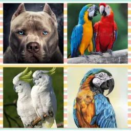 Grupo D ZL itaqua🦅FERRAZ 🦅SUZANO 🕊MOGI 🐦‍🔥ITAIM 🐦‍🔥ARUJA🐦‍🔥SANTA ISABEL 🐦‍🔥 DETODA A ZONA LESTE DE SÃO PAULO