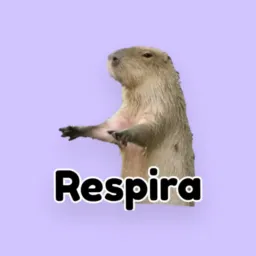 Grupo de doação 🙏
